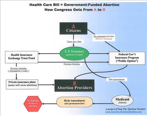 stopabortionmandate diagram.jpg